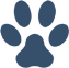 Veterinarian in Queens & Emergency Clinic